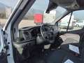 Ford Transit Van Trend 350 L3 H3 2.0 EcoBlue 170CV Trazione Ant Wit - thumbnail 17
