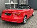 Audi A3 Cabriolet Xenon PDC Shz Navi Rot - thumbnail 9