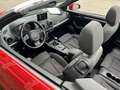 Audi A3 Cabriolet Xenon PDC Shz Navi Rot - thumbnail 17
