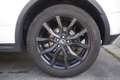 Land Rover Range Rover Evoque Land Rover RR Evoque 2.2 TD4 5p. Prestige Unicopr Bianco - thumbnail 5