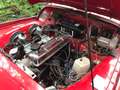 Triumph TR3 Roadster Rot - thumbnail 4