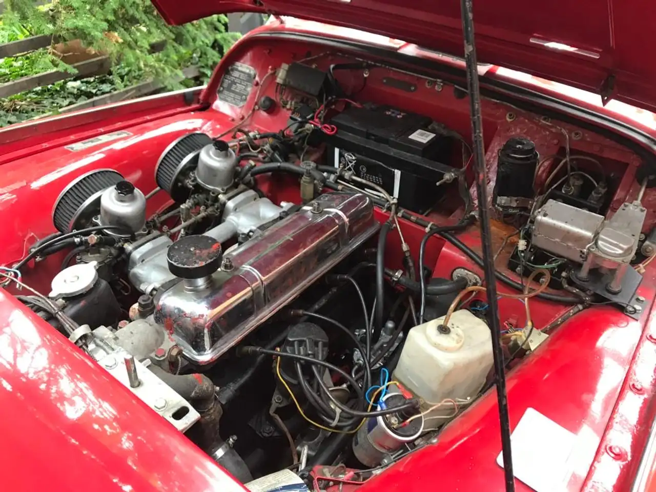 Triumph TR3 Roadster, foto 4