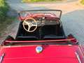 Triumph TR3 Roadster Rot - thumbnail 7