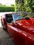 Triumph TR3 Roadster Rot - thumbnail 3
