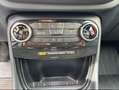 Ford Puma 1.5 EcoBoost 200 CV S&S ST Grau - thumbnail 12
