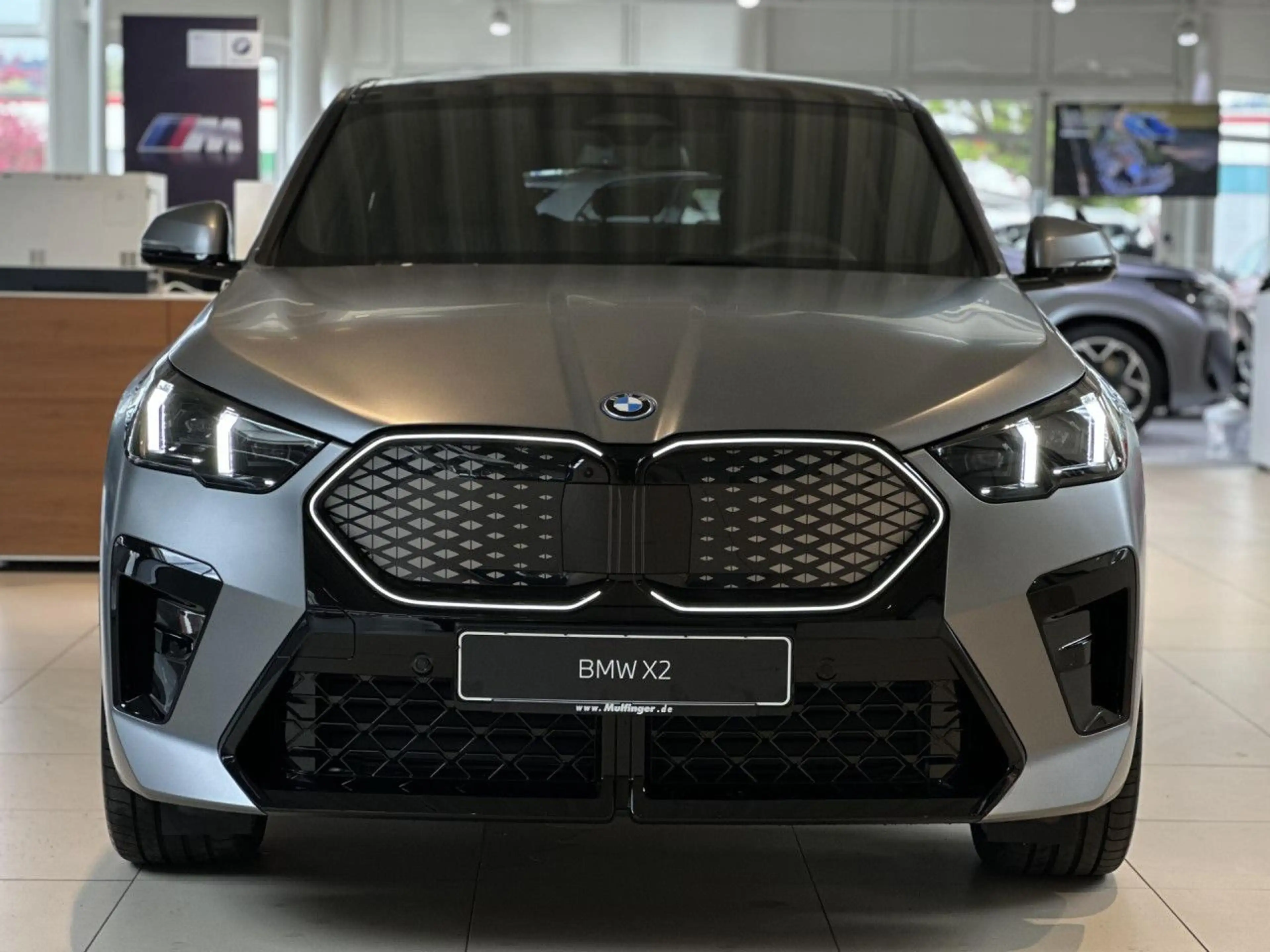 BMW iX2 x30 M Sport Pro Frozen ACC PanoD.SurView 20" — photo 4