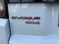 Land Rover Range Rover Evoque 2.2L SD4 Dynamic 4x4 190 Aut. Blanco - thumbnail 15