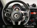 smart forTwo fortwo cabrio passion 66 kW EINPARKHILFE*SHZ* Grijs - thumbnail 12