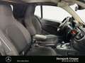 smart forTwo fortwo cabrio passion 66 kW EINPARKHILFE*SHZ* Grijs - thumbnail 15
