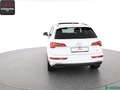 Audi Q5 Q5 50 TDI qu S LINE STANDHEIZ,KEYLESS,BANG+O,AHK Weiß - thumbnail 4