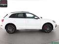 Audi Q5 Q5 50 TDI qu S LINE STANDHEIZ,KEYLESS,BANG+O,AHK Weiß - thumbnail 6