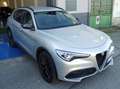 Alfa Romeo Stelvio 2.2 t B-TECK Q4 190cv auto - thumbnail 2