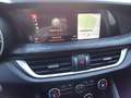 Alfa Romeo Stelvio 2.2 t B-TECK Q4 190cv auto - thumbnail 9