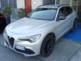 Alfa Romeo Stelvio 2.2 t B-TECK Q4 190cv auto - thumbnail 1