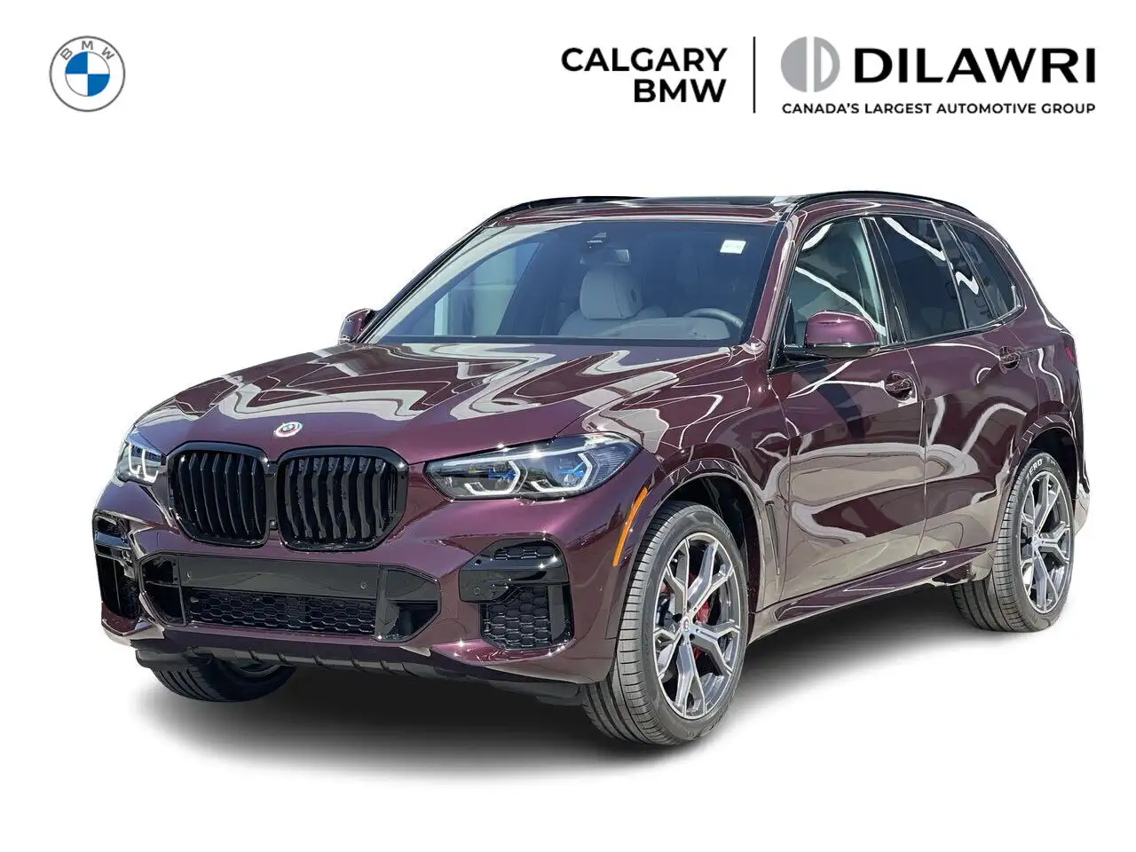 2023 BMW X5