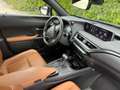 Lexus UX 250h 2.0i FWD F Sport Line Plus Grau - thumbnail 9