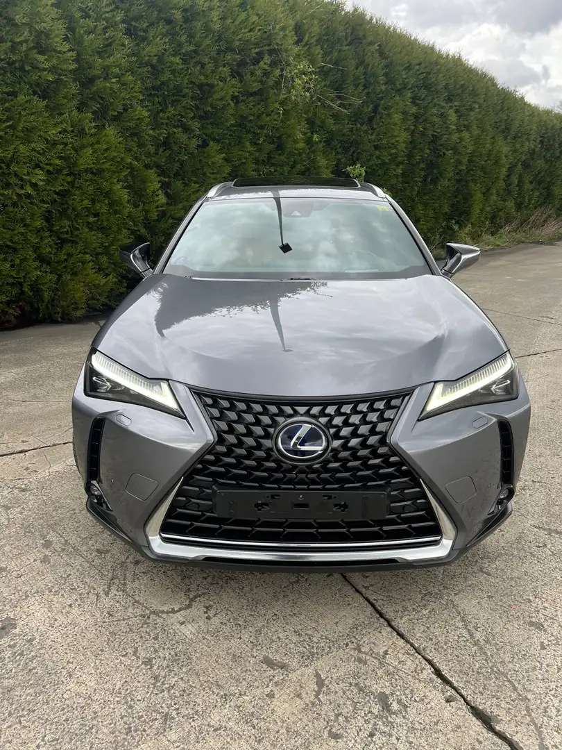 Lexus UX 250h 2.0i FWD F Sport Line Plus Grey - 2