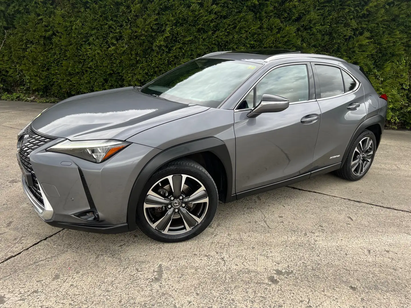 Lexus UX 250h 2.0i FWD F Sport Line Plus Šedá - 1