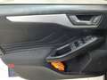 Ford Focus Focus Turnier 2.0 EcoBlue COOL&CONNECT Bleu - thumbnail 4