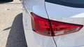 SEAT Arona TODOTERRENO 1.0 TSI 81KW STYLE GO ECO 110 5P Grau - thumbnail 17