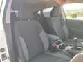 Nissan Qashqai 1.6dCi Visia 4x4-i Wit - thumbnail 20