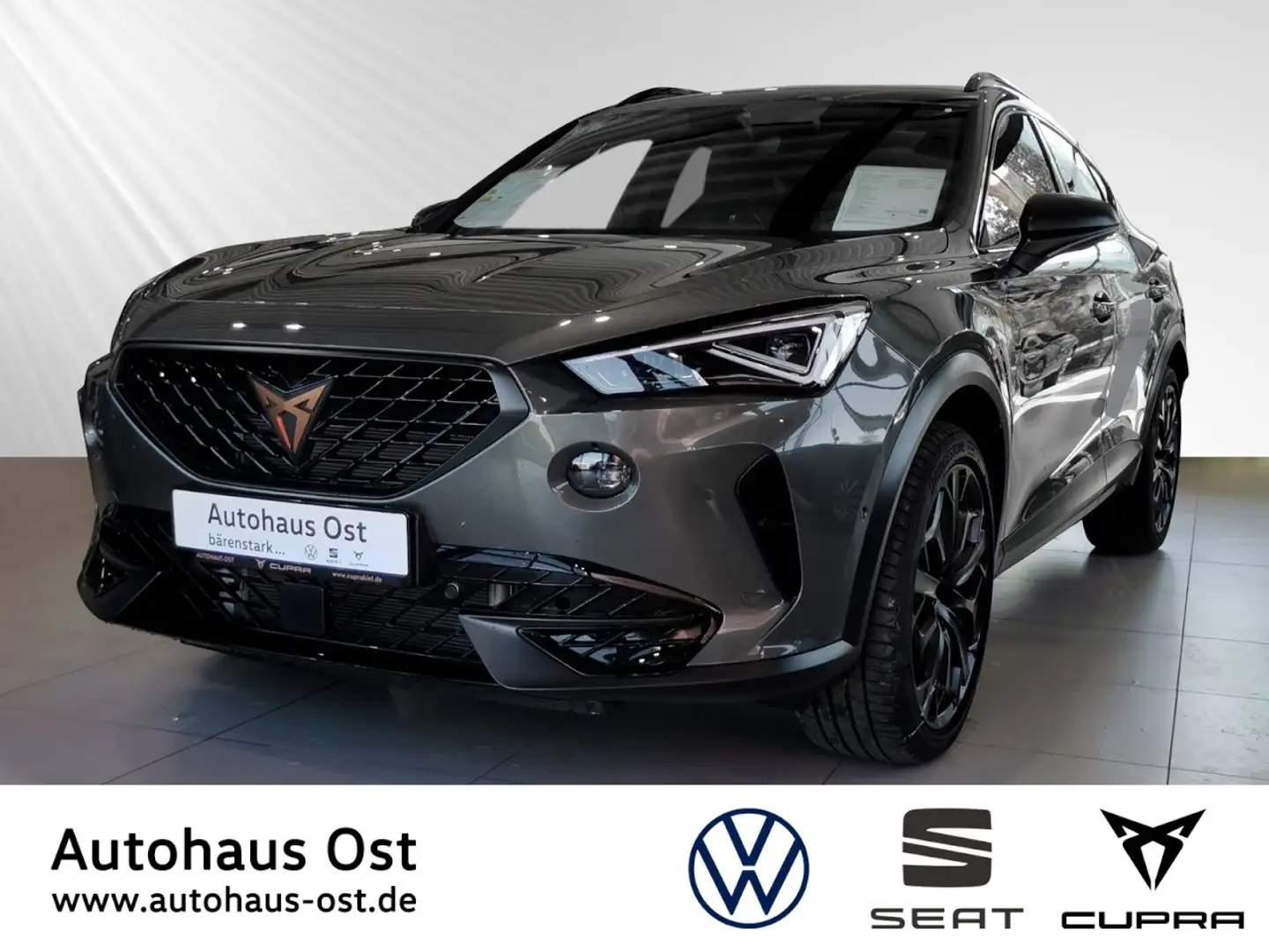 CUPRA Formentor VZ Tribe Edition 2.0 TSI DSG LED Navi Matrix Panor Grijs - 1