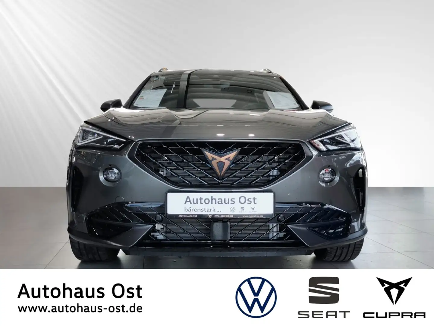 CUPRA Formentor VZ Tribe Edition 2.0 TSI DSG LED Navi Matrix Panor Grijs - 2