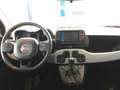 Fiat Panda 1.0 FireFly S&S Hybrid City Cross Negro - thumbnail 9