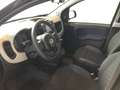 Fiat Panda 1.0 FireFly S&S Hybrid City Cross Negro - thumbnail 10