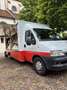 Fiat Ducato 15 244.6D5.0 LL1DC - thumbnail 12
