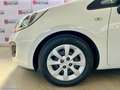 Kia Rio 1.2 CVVT 5p. ECO GPL Active Bianco - thumbnail 13