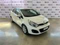 Kia Rio 1.2 CVVT 5p. ECO GPL Active Bianco - thumbnail 2