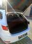 SEAT Leon Leon ST 1.0 TSI Style*Klima*PDC*Sitzheizung* Weiß - thumbnail 11