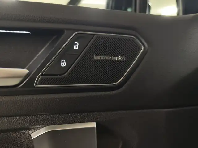 Volkswagen Tiguan view 18