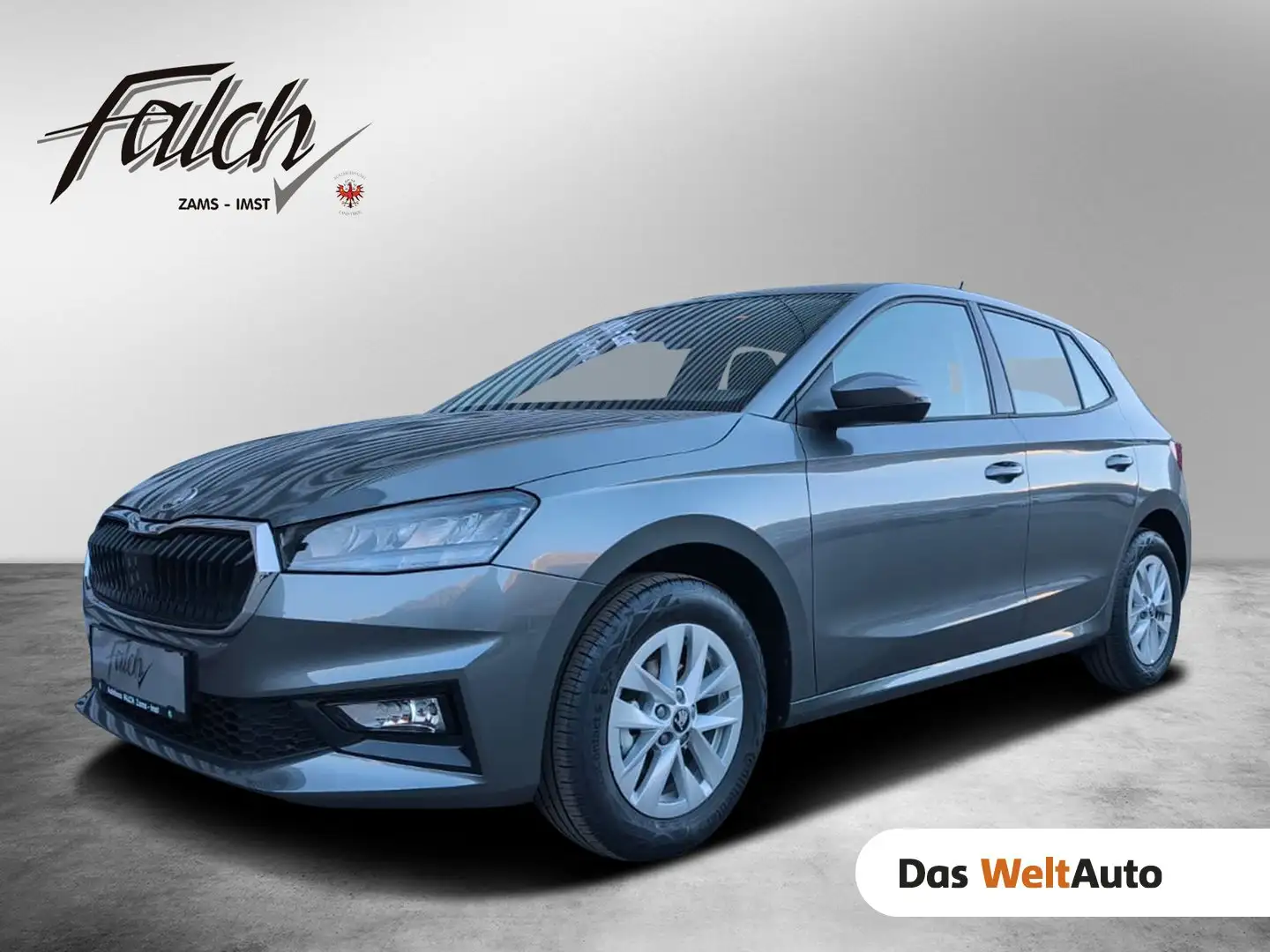 Skoda Fabia Essence Grau - 1