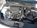 Hyundai i30 1.5 Turbo 48V Mild-Hybrid TREND *LED/NAVI/KP Weiß - thumbnail 20