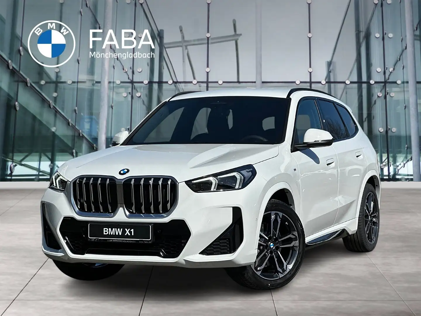 BMW X1 sDrive20i M Sportpaket HK HiFi DAB LED RFK Weiß - 1