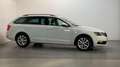 Skoda Octavia Combi 1.0 TSI Greentech Business Edition Leder-Sto Weiß - thumbnail 12