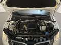 Skoda Octavia Combi 1.0 TSI Greentech Business Edition Leder-Sto Weiß - thumbnail 17