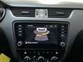 Skoda Octavia Combi 1.0 TSI Greentech Business Edition Leder-Sto Weiß - thumbnail 18