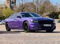 Dodge Charger R/T - UNFALLFREI! Paars - thumbnail 4