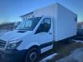 Mercedes-Benz Sprinter Sprinter 316 CDI 3,5t / 3.665 mm Weiß - thumbnail 3