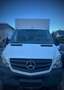 Mercedes-Benz Sprinter Sprinter 316 CDI 3,5t / 3.665 mm Weiß - thumbnail 6