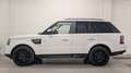 Land Rover Range Rover Sport 3.0SDV6 HSE Aut. Blanco - thumbnail 7