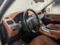 Land Rover Range Rover Sport 3.0SDV6 HSE Aut. Blanco - thumbnail 10
