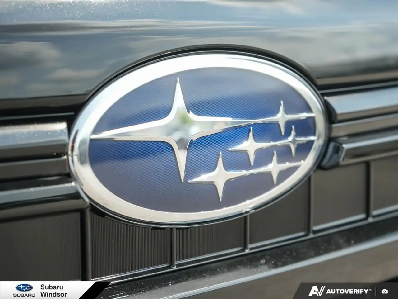 Subaru Forester fotografie Subaru Forester