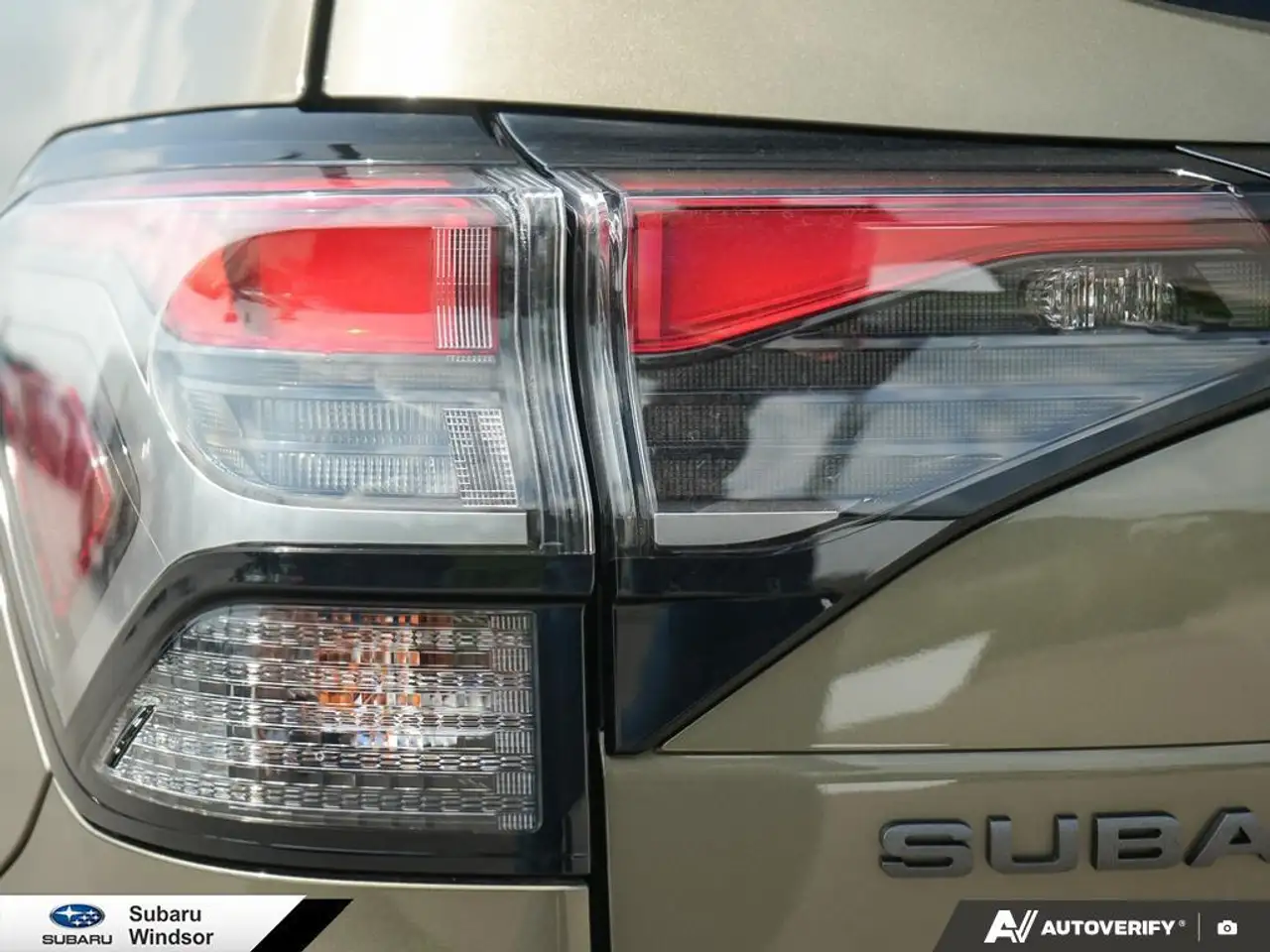 Subaru Forester fotografie Subaru Forester