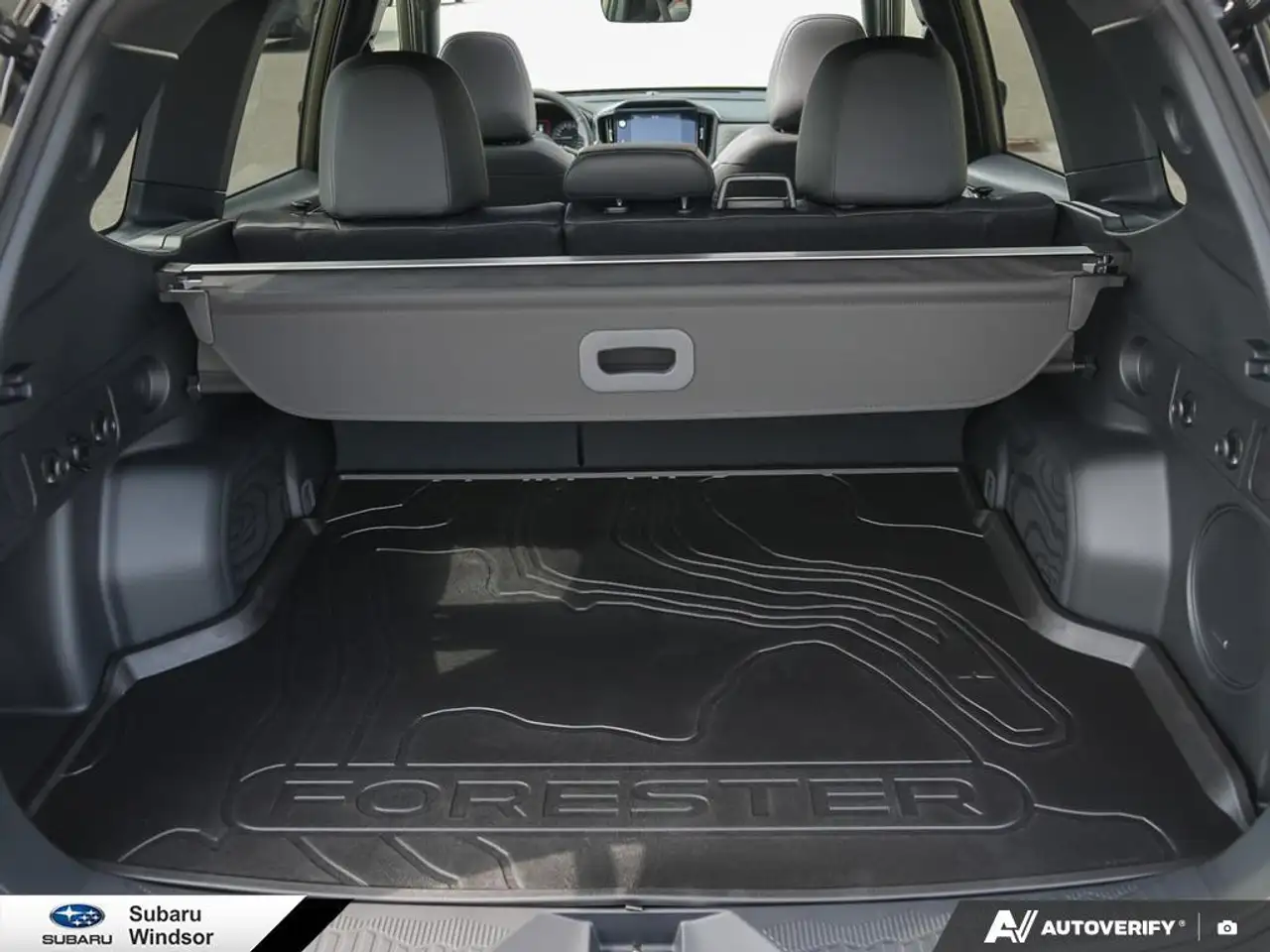 Subaru Forester fotografie Subaru Forester
