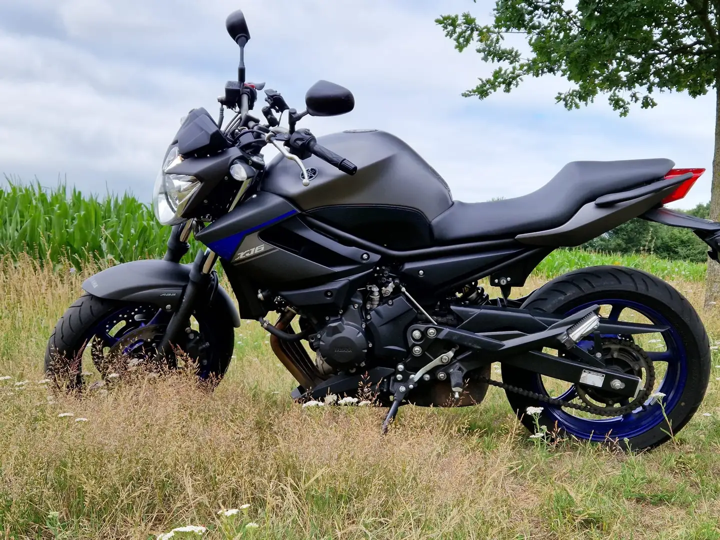 Yamaha XJ 6 Xj 6n diversion Grijs - 2