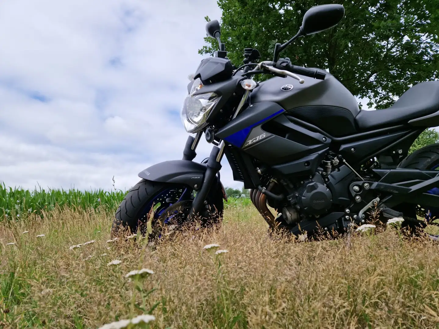 Yamaha XJ 6 Xj 6n diversion Grijs - 1